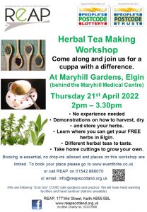 REAP's Herbal Tea Making Workshop @ Maryhill Gardens, Maryhill Medical Practice, Elgin